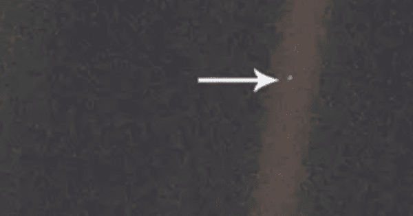 La selfie más grande de la historia: un píxel que lo contiene todo